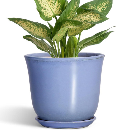 Ceramic plant pots - -, inch