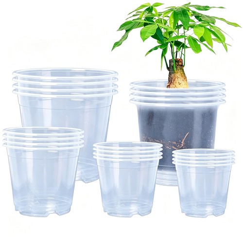 Clear nursery pots with - nursery,