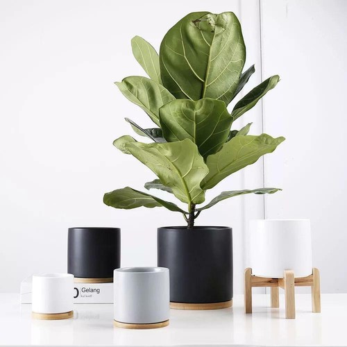 Set 4 5 planters - of, 4.5"